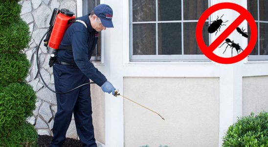 Canik Kemirgen İlaçlama böcek ilaçlama ve haşere kontrolü — ilaclama-tr.com